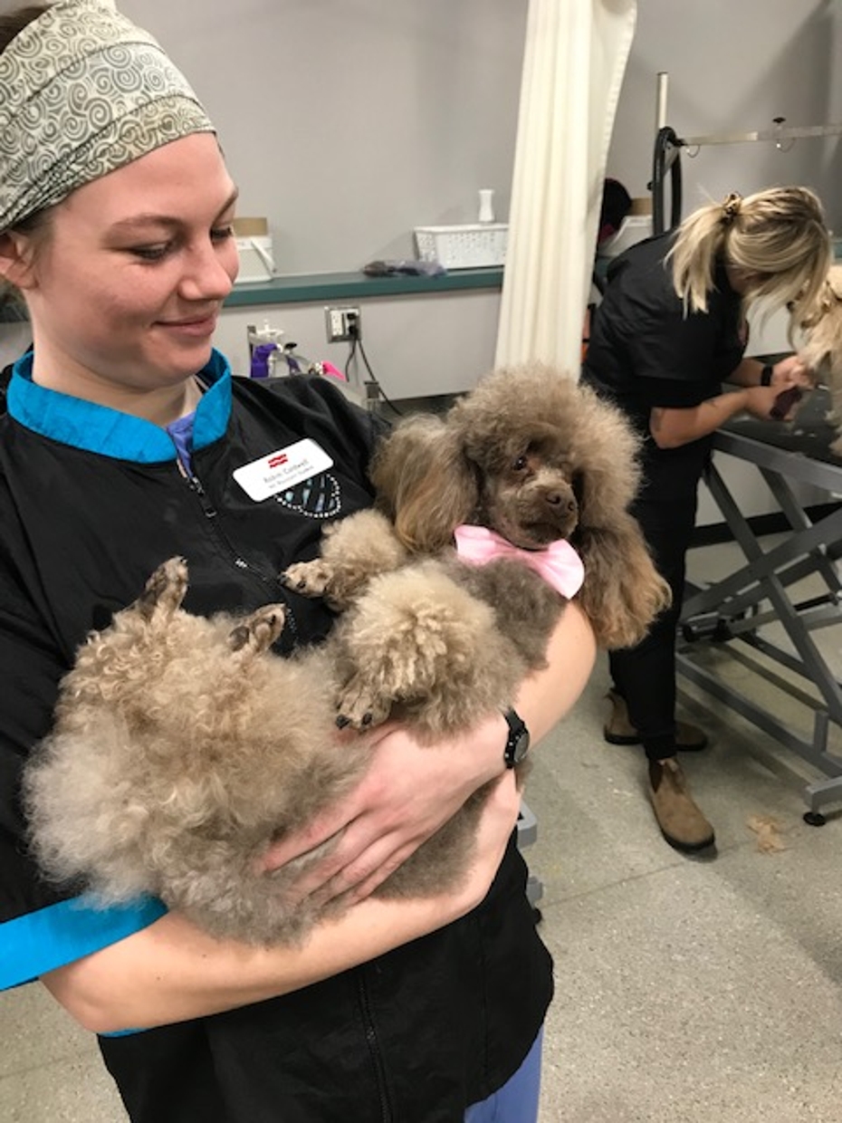 Robin Caldwell, student, and Finn, a poodle